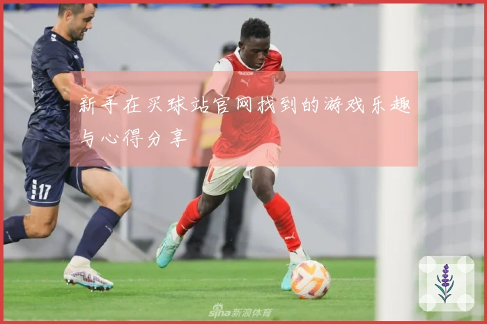 新手在买球站官网找到的游戏乐趣与心得分享