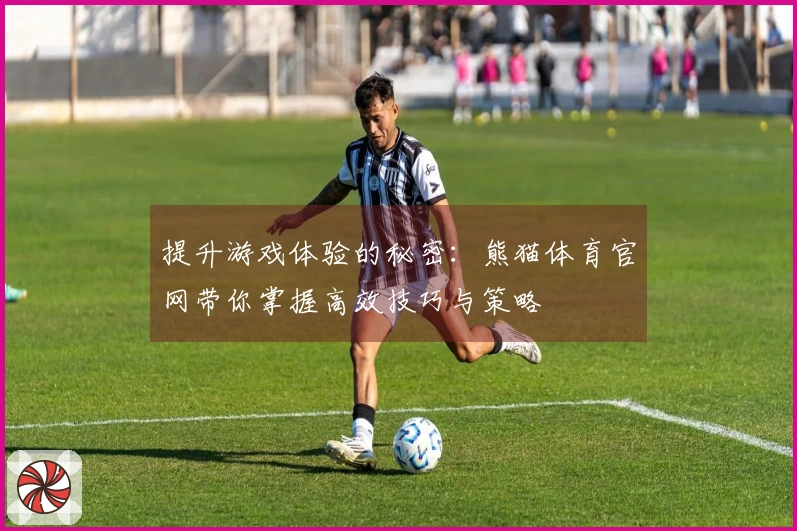 提升游戏体验的秘密：熊猫体育官网带你掌握高效技巧与策略