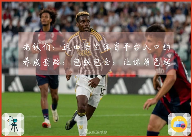 老铁们，这回悟空体育平台入口的养成套路，包教包会，让你角色起飞！