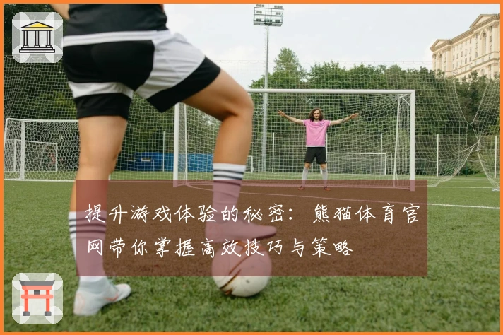 提升游戏体验的秘密：熊猫体育官网带你掌握高效技巧与策略